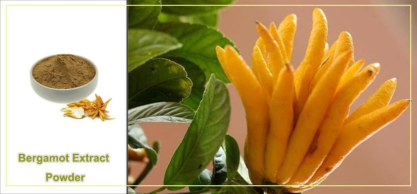 Bergamot extract powder