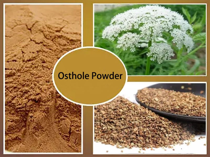 Osthole Powder raw materials